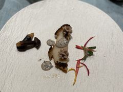 鲟鱼子酱大鲜鲍佐松茸汁-诺莱仕游艇会
