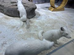 -海合安青岛极地海洋公园