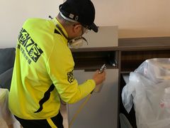 -绿色亿家除甲醛机构
