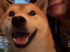 -鹿萤季·营地小馆(皇后公园店)