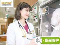 -瑞鹏宠物医院华南总院·夜诊·心脏科·骨科