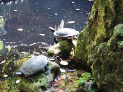 -宁波市保国寺古建筑博物馆