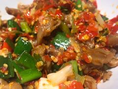 鸭掌筋-壹盏灯(惠农店)