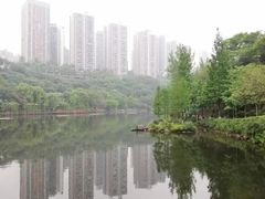 -重庆彩云湖湿地公园