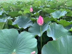 -南戴河国际娱乐中心