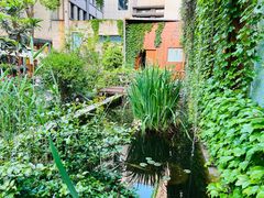 -谷咖啡·鲜花绿植花园餐厅