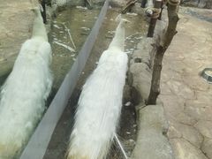 -海合安青岛极地海洋公园