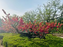 -元大都城垣遗址公园