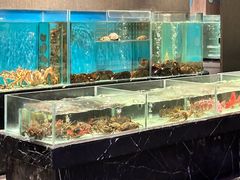 -许家菜.艺创菜(仁和新城店)