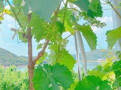 -北京金海湖景区