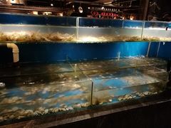 -星伦多 自助料理(圆融店)