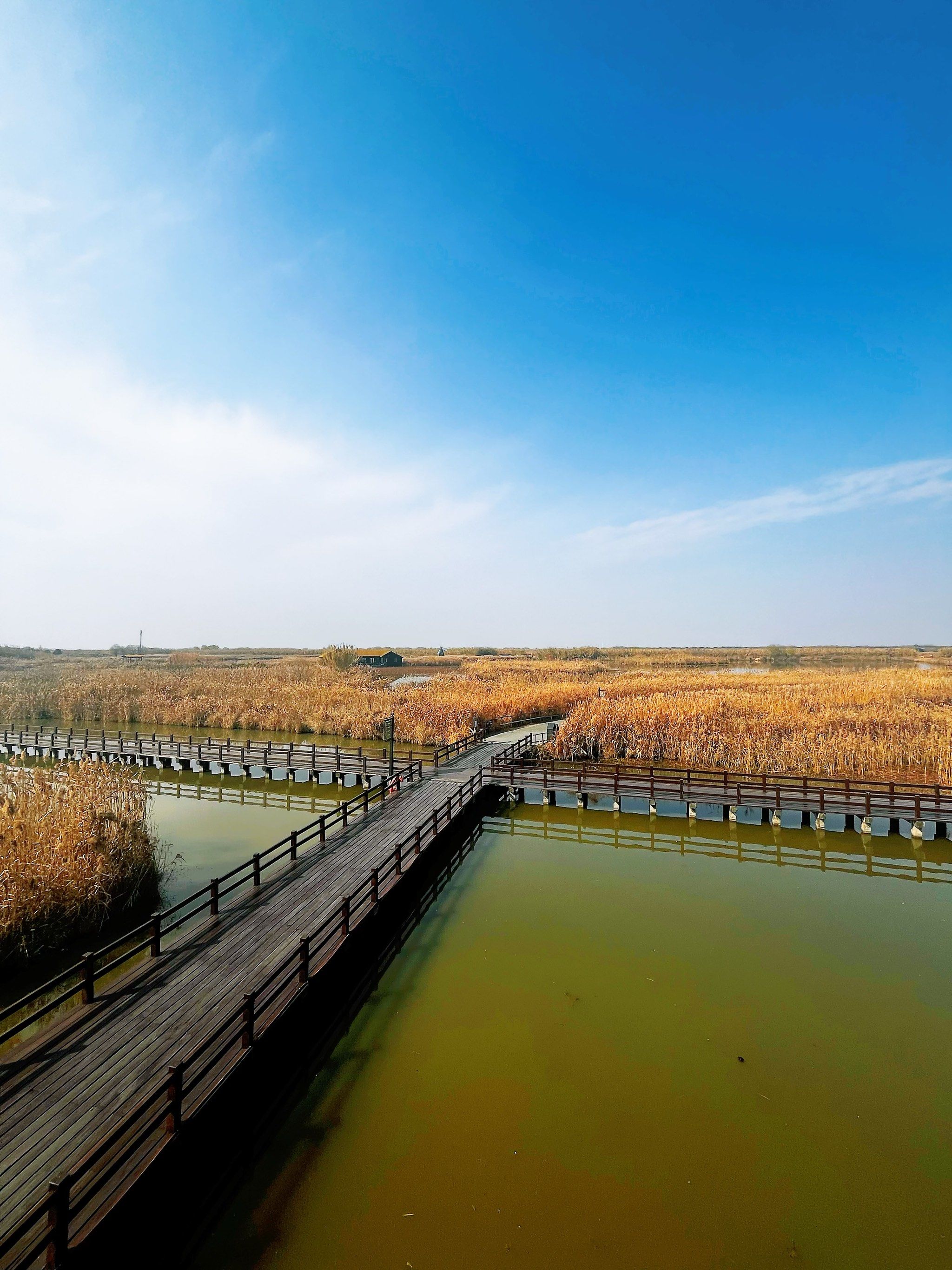 0元玩转这座城 果然还是文旅卡有用,今天来到了杭州湾湿地公园,就是