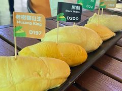 -榴莲BB 四季果园