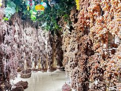 -新疆国际大巴扎