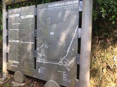 -广州市流溪河国家森林公园