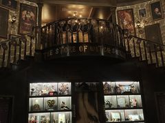 -雪灵魔法世界SHELLY’S TAROT(大良桂畔里店)