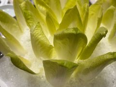 -澳门豆捞(裕华东路店)