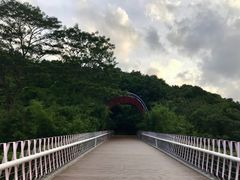 -玉树公园