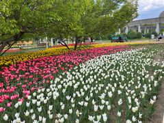 -长春公园(普阳街道)