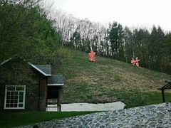 -云岭野山参风景区