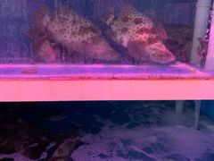 -江杨农产品批发市场