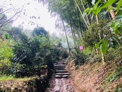 -宁波浙东大竹海景区