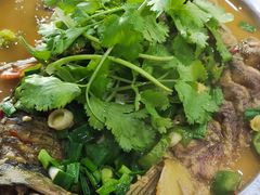 -全乐鱼馆·淳牌有机鱼直营店