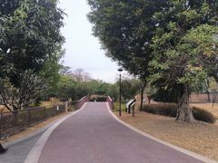 -王借岗森林公园