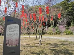 -火炉山森林公园