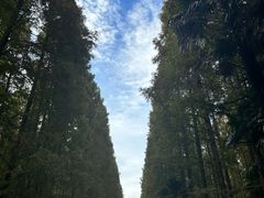 -上海怡沁园度假酒店