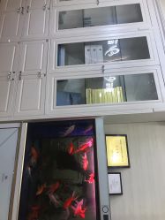 -苗方清颜专业祛痘·皮肤管理