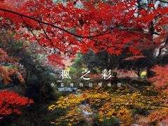 -中国茶叶博物馆(双峰馆区)