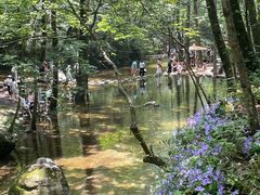 -牛背梁国家森林公园