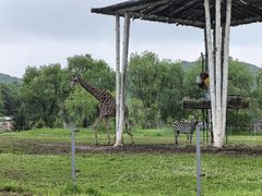 -哈尔滨北方森林动物园