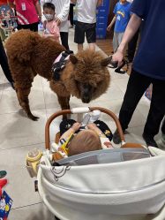 -孩子王(建邺金鹰世界店)