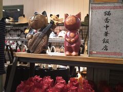 -猫咪博物馆(顶澳仔猫街店)