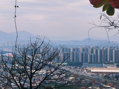 -云洞岩风景区