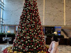 -上海宝华万豪酒店