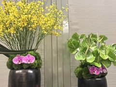 -上海前滩香格里拉大酒店