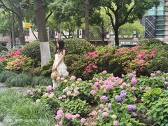 -常州古运河南大街文化旅游区-人民公园