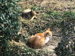 -狼山风景名胜区