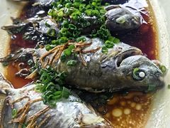 -水磨农庄