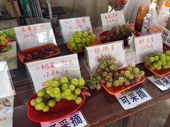 -马陆小张葡萄园农家乐