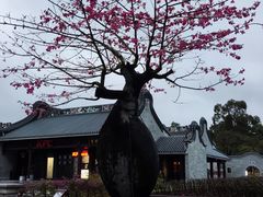 -香山湖公园