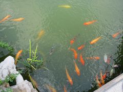IMG_0749-檀园