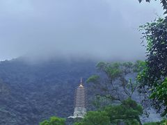 -深圳仙湖植物园