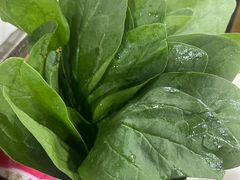 -马记伊源斋涮肉·清真菜(百子湾店)