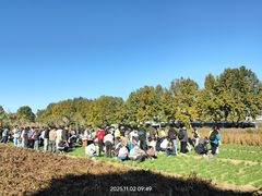 -云荷里·蒸汽石锅鱼·云南菜(中发百旺店)