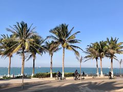 -西秀海滩公园