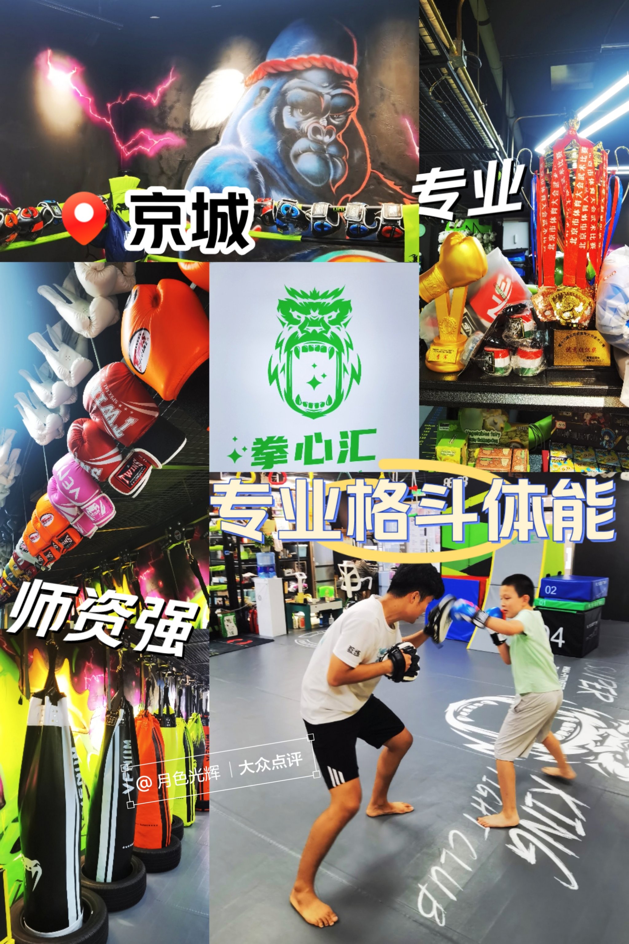 格斗体能训练动作大全视频(格斗体能训练动作大全视频播放)